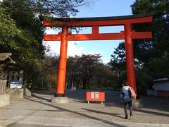 食事の後は、車で移動し平野神社へやって来ました！
ここは、人がマバラ程度しかいませんでした。