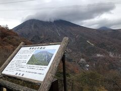 いよいよいろは坂を登り始めました。
３０数年前に夫とドライブをして、渋滞にはまり車の中でおにぎりを食べた苦い思い出がある私がですが夫はさっぱり記憶にないそう（笑）
途中明智平に寄ってみます（車が停められるようなら寄ってみようという話でした）。ここも週末は多分車が停められないのだと思います。