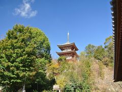 生口島の瀬戸田では自由行動でしたが、国宝の三重塔があるというので見に行きました。
小高い山の上に建つ姿が美しいです。