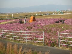 ② 2020年10月31日（土）

15：40　九州佐賀国際空港　を出発

コスモス畑が見えてきた。