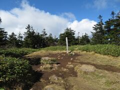 苗場山山頂。樹林に囲まれた小広い場所で、展望はなし。