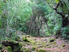 熊野古道、高野坂を歩く