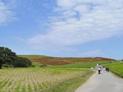 バスだとすぐ到着。ひたち海浜公園。
昨日の電車の運転士さんが、時間さえ合えば電車よりバスのがいい(笑)　と教えてくれたおかげです。

まずは、帰りのバス時間チェック☆
コキアのピーク時期ちょいちょい前だったので、予約不要ではいれます。
入り口でコインロッカーに荷物を預け、コキアを目指します。