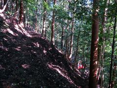 庭園の背後にある坂を登り、館の背後にあった城を目指します。