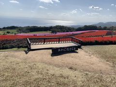 あわじ花さじき
　大阪湾方面を望む１