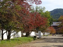 随心院から15分ほど歩いて『醍醐寺』へ。