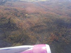 釧路空港（たんちょう釧路空港）