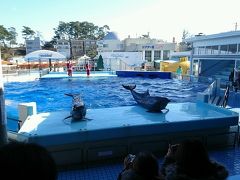 越前松島水族館