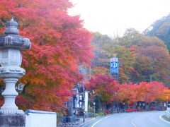 吹割の滝に目もくれず、ひたすら国道を先へ先へと急ぐのみ。
心配していた渋滞や混雑とは全く無縁で、車は快調に進む。
片品村の、白根温泉薬師の湯の前に差し掛かった時、あまりにも見事な紅葉に思わず車を停め、しばし写真タイム！
この時、気温３℃で息が白くなった。