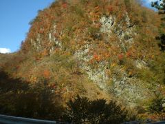 さて、いろは坂を下って日光市街地方面へと向かいましょうかね。
ドライバーの僕はハンドルを握る専門。
車中からの風景撮影は助手席の母にお任せして・・・
（去年の紅葉旅のリベンジの意味でリクエストされた旅行なんです！今回の場合）

下りのいろは坂、それなりに混んでおりました。
当然でしょうね！
全然問題ありません、だって時間配分ちゃんとしてますので（笑）

僕の3台前の車、明らかにペーパードライバーで、無意味に不規則にブレーキを踏みまくったり徐行すべき急坂をすごい勢いで突っ込んでいくから・・・
後続車は余計な神経を使わされ、ますます不要な混雑を招く。
運転が不慣れで怖いと思う人が来てはいけないコースの一つが、このいろは坂かもしれない。