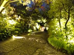 ディナーは八坂の塔のすぐそばにあるイタリアンレストラン『THE SODOH 東山 京都』を予約していました。
この1700坪の空間は、「東山艸堂」と言われ、日本画家の巨匠竹内栖鳳の私邸だったものをリノベーションしたそうです。大変立派な門から雰囲気の良いアプローチを通って、玄関へ。
庭園も見事なようですが、夜ではちょっとわかりませんでした。