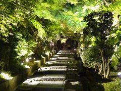 食後はすぐそばにある『高台寺』の夜間特別拝観へ。21：30受付終了で22時閉門ですが、ぎりぎり間に合いました。