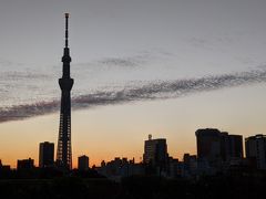 ■11月4日（水）

朝5：00に起床。
身支度を整えて、ロビーにおりていくと、テラスからスカイツリーが朝焼けのシルエット。
