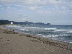 和田浦海水浴場には大勢のサーファーがいます。