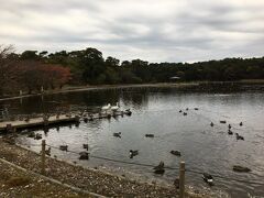 お幕場 大池公園：交通アクセス：JR羽越本線「岩船町駅」から車で30分
：日本海東北自動車道「神林岩船港IC」から車で3分、入場料無料 