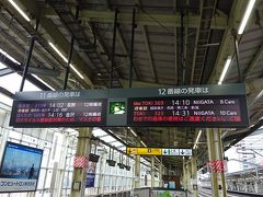 東京駅から50分で高崎に到着です。
高崎駅は上越新幹線、長野、北陸新幹線の分岐点になる駅なので、何気に新幹線の発着が多い駅なんですよね。