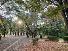 バラの名所である、さいたま市の与野公園に行ってきました。