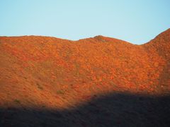 部屋から夕陽に照らされる大船山を眺めました。