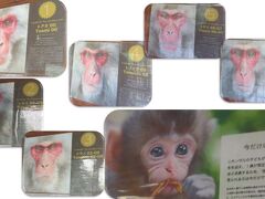 チケット売り場の案内