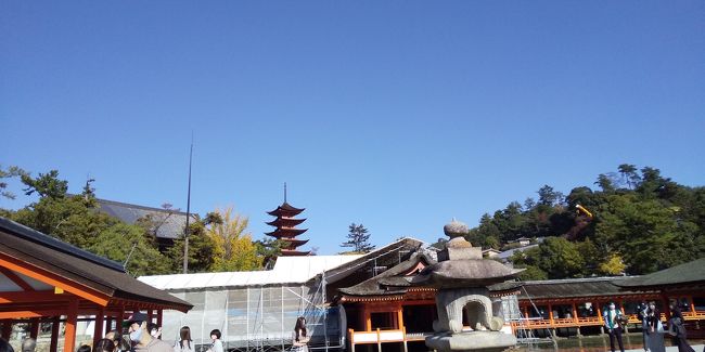 遠くに、朱の五重塔が見えます。<br />美しい。