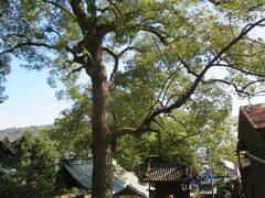 艮神社の横に出てくる。