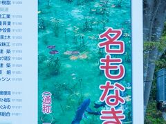 到着したのが名もなき池。
少し前から有名にはなっていて、気にはしてましたが、まさか、ここに来ることが出来るとは・・・@@;