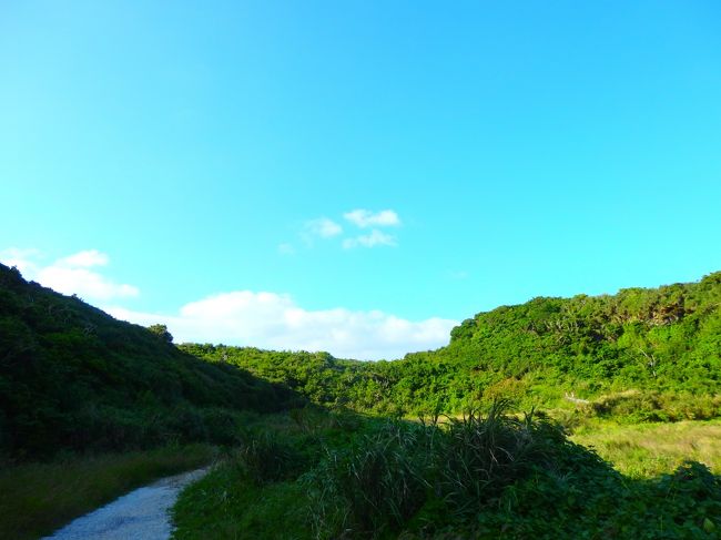 海の反対側はこんな緑！
