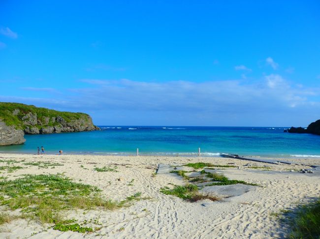 何人かが泳いでいました