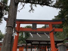 哲学の道を歩いて、お次は吉田神社。

小高い山？丘？みたいな所にあるから、ちょっと疲れた...。