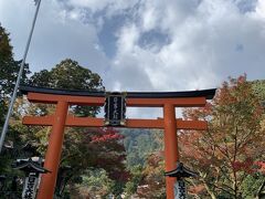 ケーブルカーを降りた先にある、日吉大社へお参り。

なんと、神社なのに有料...。
初めてでかなりビックリ。