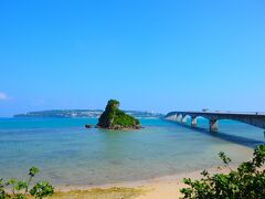 古宇利島に行きます。
橋の手前にある美らテラスに行こうと思ったら臨時休業。。。。
