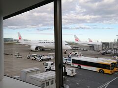 何度来てもテンションが上がる～～！！
飛行機大好き。ほんと癒やされる

