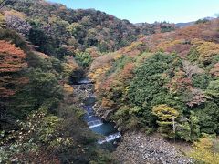 木賀温泉周辺の早川渓流。