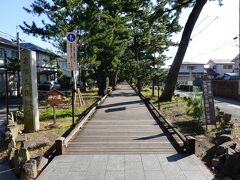 御穂神社から松の並木道・神の道を歩きます。
