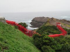 やっと着いた元乃隅神社。写真で見たとおりの鳥居が連なる。