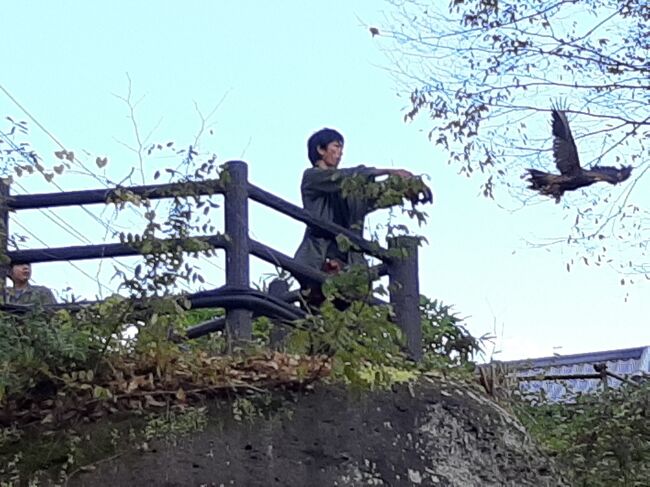 晩秋の芦ノ牧温泉 磐梯 仙台 秋保 秋保温泉 宮城県 の旅行記 ブログ By ぱくにくさん フォートラベル