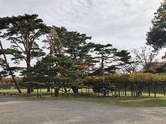 天気がよくて散歩日和り