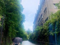 雨に濡れたオランダ坂。