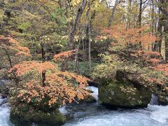 去年に続き、この風景に出会えて幸せ。