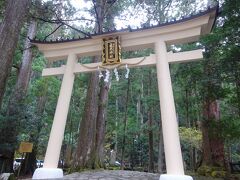 飛瀧神社へ。