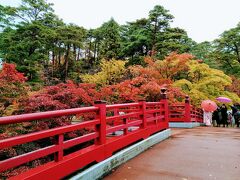 弥彦公園ではもみじが色づき始めていてグラデーションがキレイでした。最盛期はとても素晴らしいでしょうね。