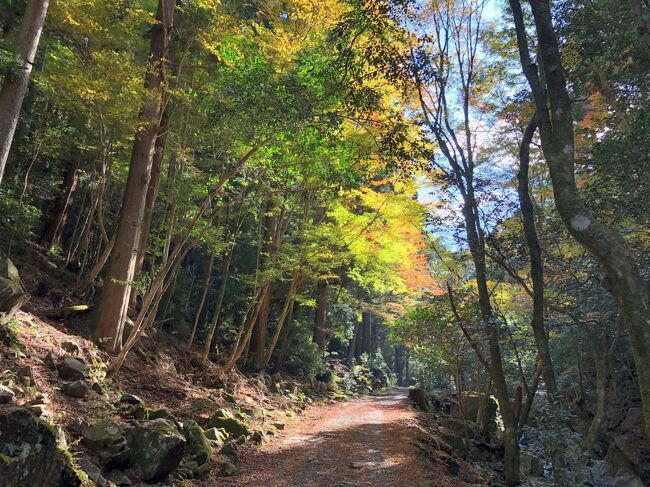 ２０１９秋のくらがり渓谷日帰りドライブ 岡崎 愛知県 の旅行記 ブログ By 食いしんぼう姉さんさん フォートラベル