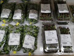 ショッピングセンターの右半分が道の駅になっている、遠野市の「道の駅　みやもり」。

産直野菜売り場で見た、さるなしとミズのこぶって野菜？野草？？