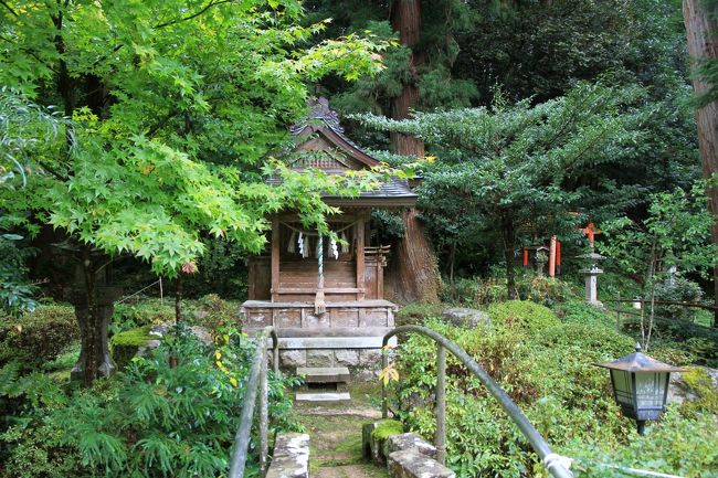 但馬之国一之宮の粟鹿(あわが)神社と出石(いずし)神社を参拝しました。