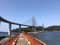 呼子大橋を見上げる。