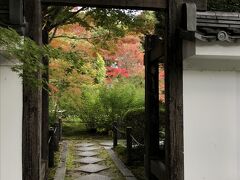 【南禅寺　天授庵】紅葉の季節だけ廃刊できる場所で永観堂と並び真っ赤な紅葉の綺麗なところです。