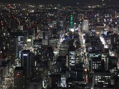 夕食を食べて最後の観光はスカイプロムナード。こちらも地下鉄一日乗車券を提示したら割引してくれました。テレビ塔がきれいです。