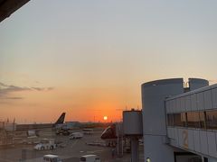 早朝の羽田空港から朝日が見えて、1日の始まりと同時に旅が始まった感じです。