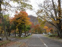 車での移動