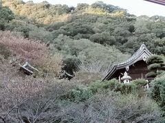 天満神社(北野天満神社)に寄ります。